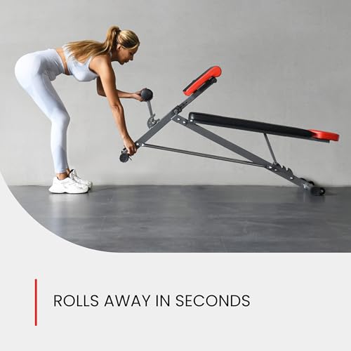 Multi-Functional Weight Bench