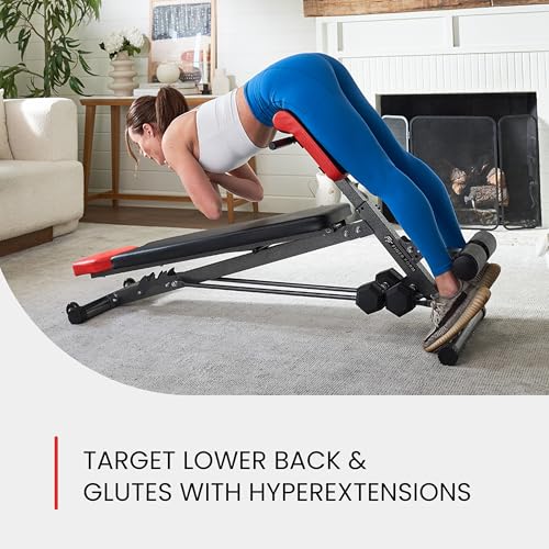 Multi-Functional Weight Bench