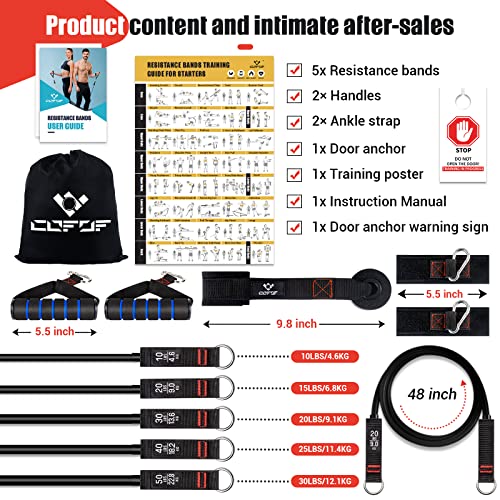 Resistance Bands Set