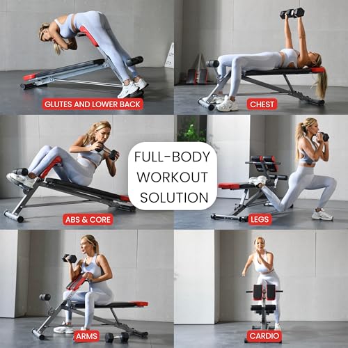 Multi-Functional Weight Bench