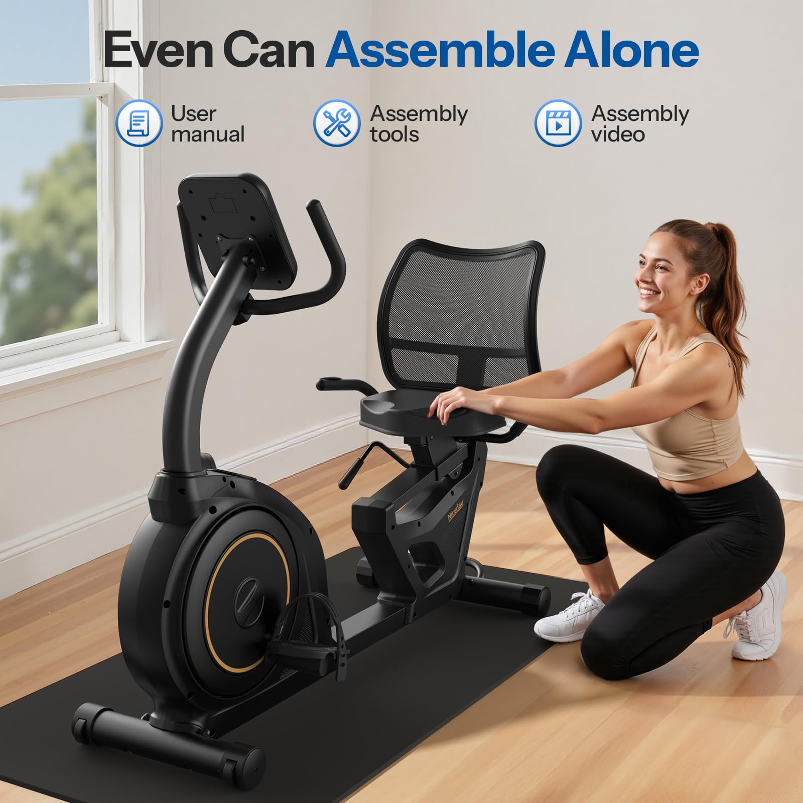 Recumbent Exercise Bike
