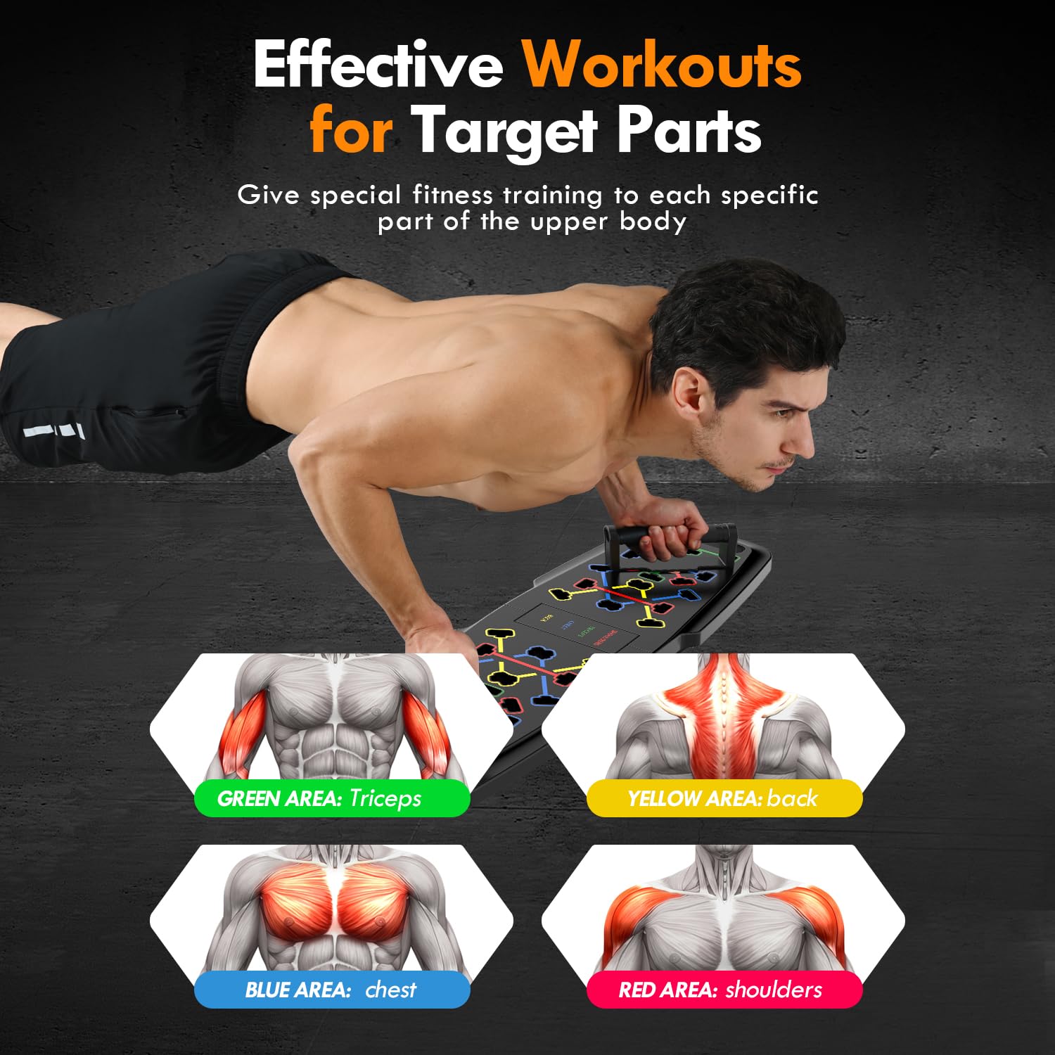 Push Up Board Set