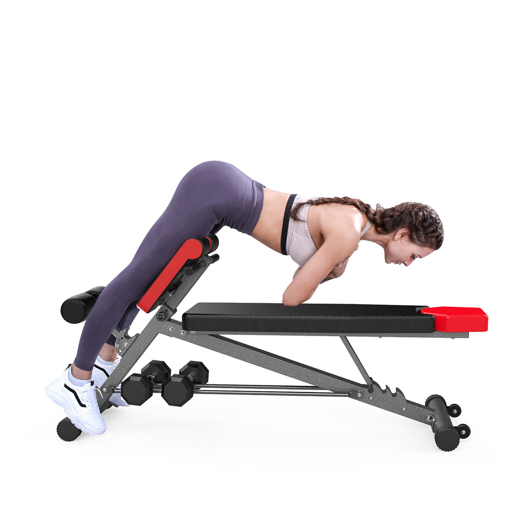 Multi-Functional Weight Bench
