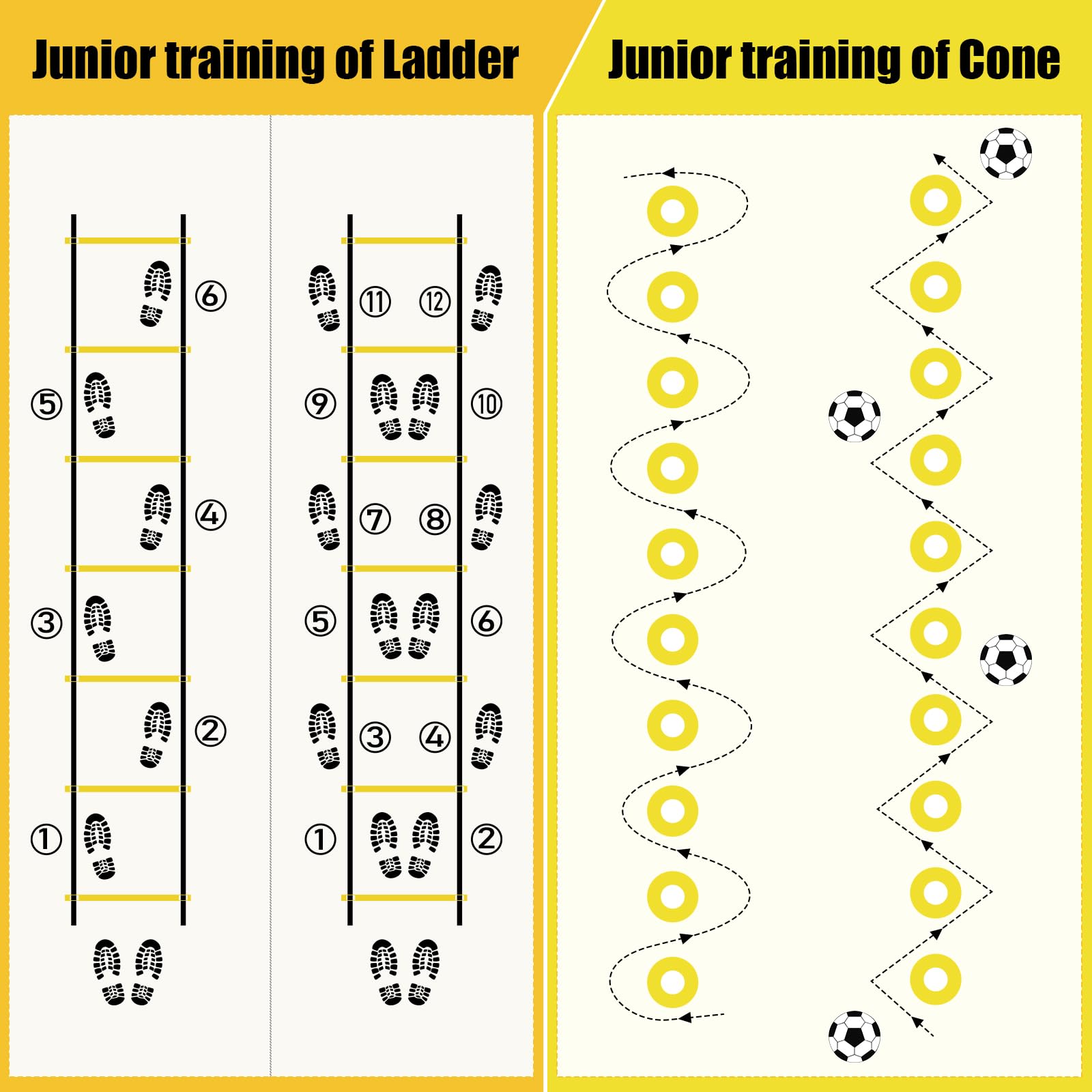 Agility Training Set